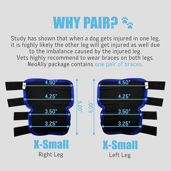NeoAlly Dog Leg Brace [Long Version] Canine Hind Hock Support with Safety Reflective Straps for Injury and Sprain Protection, Wound Healing and Loss of Stability from Arthritis (Blue XS Pair)