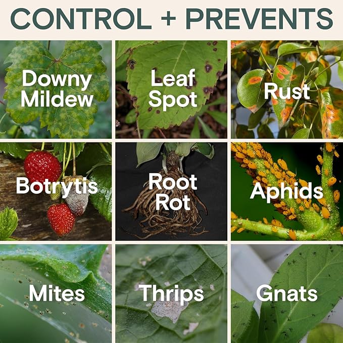 Organic Insecticide & Fungicide for Plants — Indoor/Outdoor Protection to Control Powdery Mildew, Spider Mites, Aphids, Whiteflies, Fungus Gnats — Safe on Vegetables & Lawns — Concentrate Spray, 16oz