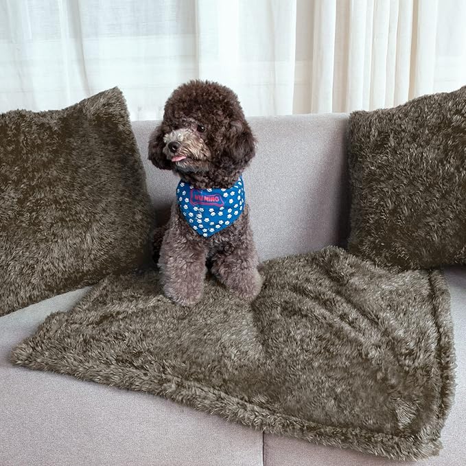 MACEVIA Fluffy Fleece Dog Blankets,Warm Soft Fuzzy Pets Blanket for Puppy,Small,Medium,Large Dogs and Cats,Plush Pet Throws for Bed,Couch,Sofa,Travel(24x29 Inch, Taupe)