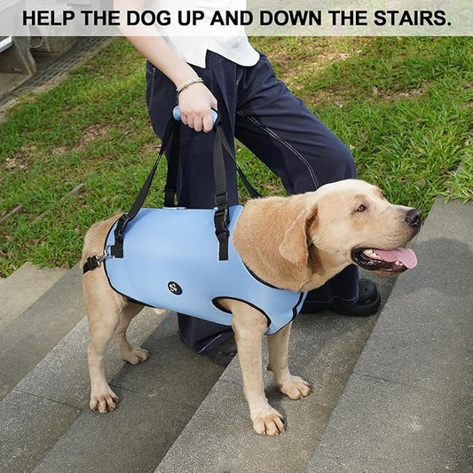 Coodeo Dog Lift Harness, Pet Support & Rehabilitation Sling Lift Adjustable Padded Breathable Straps for Old, Disabled, Joint Injuries, Arthritis, Loss of Stability Dogs Walk (Blue, XS)