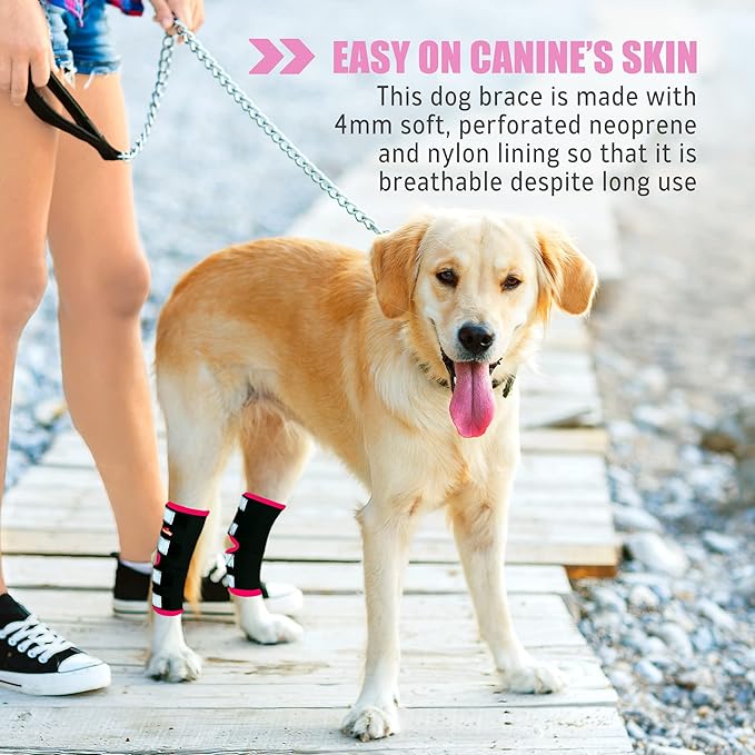 NeoAlly Dog Back Leg Braces [Long Version] Canine Hind Hock Sleeves with Safety Reflective Straps for Injury and Sprain Protection, Wound Healing and Loss of Stability from Arthritis (Pink XS Pair)