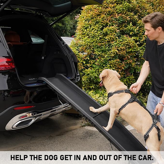 COODEO Mobility Dog Lift Harness, Support Sling & Walking Sling for Dogs, Pet Rear Leg Rehabilitation Support Vest, Dog Carrier for Senior Dogs with Joint Injuries, Arthritis, Up Stair (Black, S)