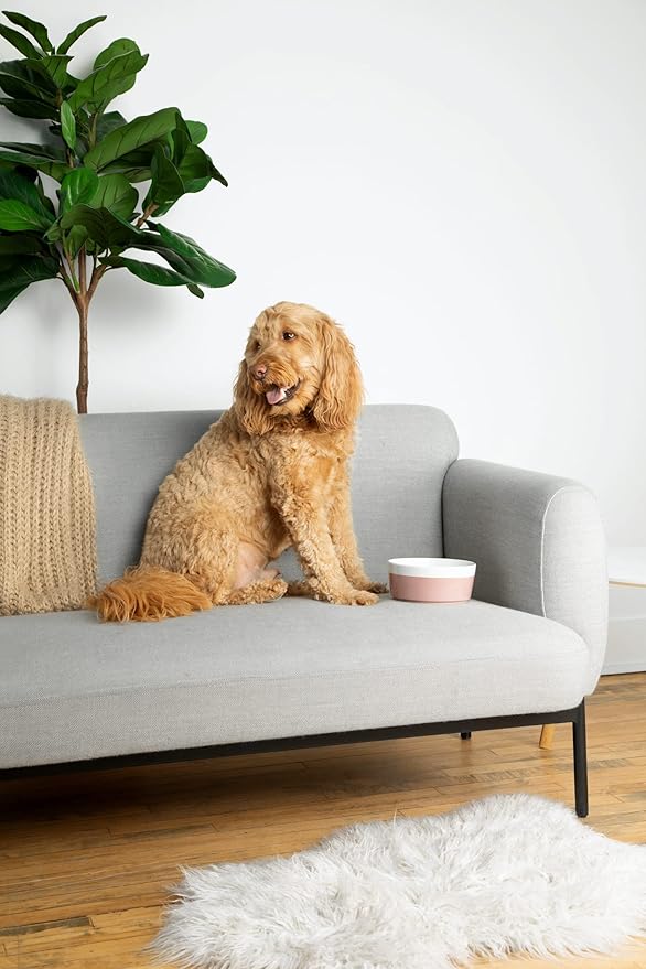 Waggo Dipper Ceramic Dog Bowl for Small and Large Breeds - Heavyweight and Durable Pet Food and Water Dish Crock, Dishwasher Safe, Modern (Rose, Small)