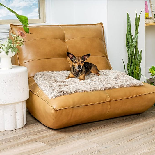 Furhaven Waterproof Throw Blanket for Dogs & Indoor Cats, Washable - Shaggy Plush Calming Long Faux Fur & Velvet Dog Blanket - Driftwood, Small