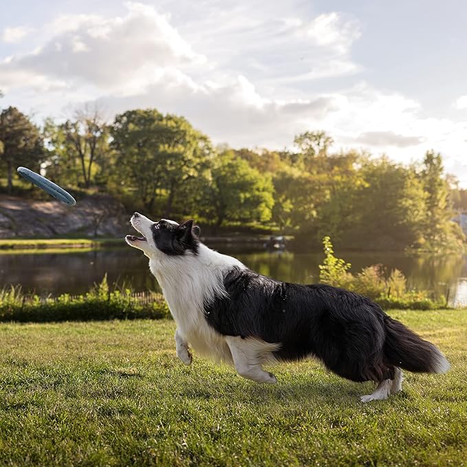 Meadowlark SUV Cargo Liner Dog Seat Covers + Seat Belt, Double Stitched & Extra Padded, Water Repellant, Anti Shock, Non-Slip, Cover Trunk Mat, Dog Accessories, Pet Car Seat Protector for Fur & Mud