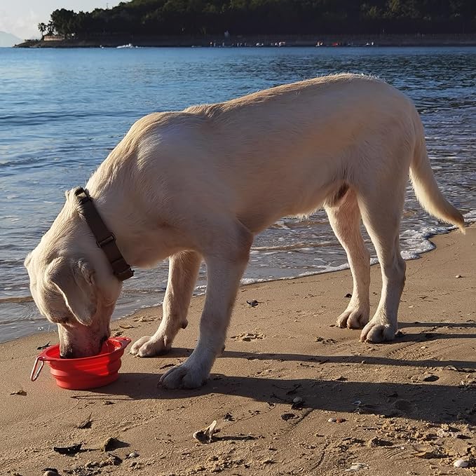 Collapsible Silicone Dog Bowl with Carabiner, 3 Sizes 5-27oz, Portable Pet Outdoor,Travel Bowl,(Black and Red)