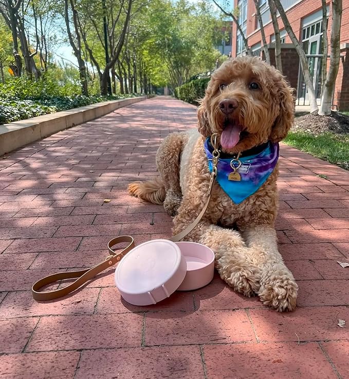 Barkin’ Trails Travel Dog Bowls, Portable Outdoor Water, BPA-Free Water Bowl Set, Food Grade Plastic Dog Travel Bowl, Dog Camping Essentials, Travel Container