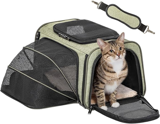 Petsfit Expandable Rabbit Carrier Small Cat Carrier Airline Approved, 16X10X9 Inches Soft-Sided Portable Small Animal Travel Bag for Kitten/Puppy/Bunny/Guinea Pig