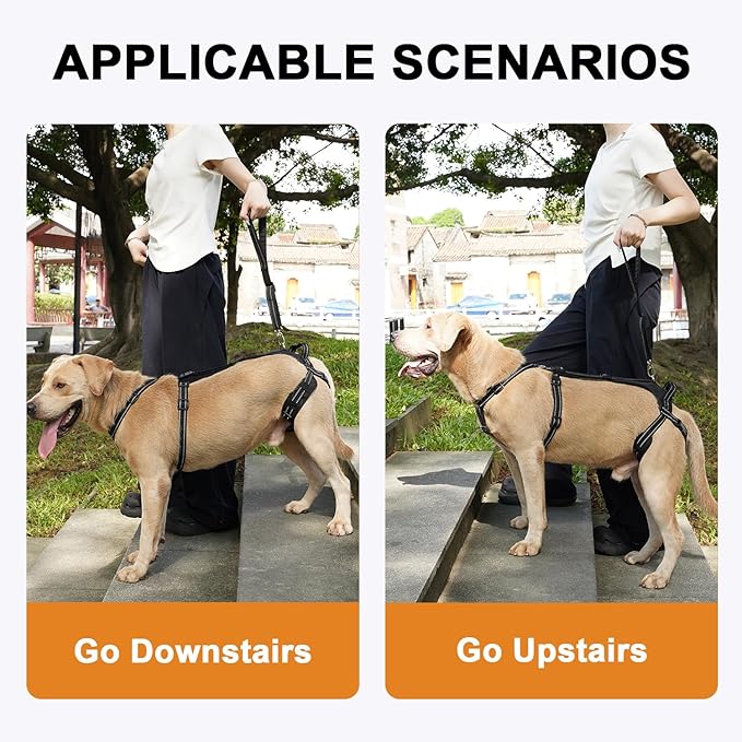 COODEO Professional Dog Sling for Hind Leg Support - Aid for Post-ACL/TPLO Surgery & Senior Dogs, Secure,Breathable & Machine-Washable with Reflective Edging for Safe Walks (Black, XL)
