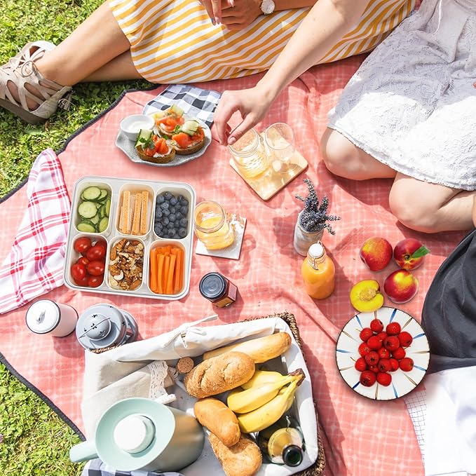 SMALL Divided Serving Tray with Lid and Handle, Portable Snack Box Container, 6 Compartments Veggie Fruit Snackle Tray, Charcuterie Platter Container for Party, Nuts, Snacks, Picnic,2 Pack, SMALL SIZE