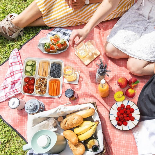 SMALL Divided Serving Tray with Lid and Handle, Portable Snack Box Container, 6 Compartments Veggie Fruit Snackle Tray, Charcuterie Platter Container for Party, Nuts, Snacks, Picnic,2 Pack, SMALL SIZE