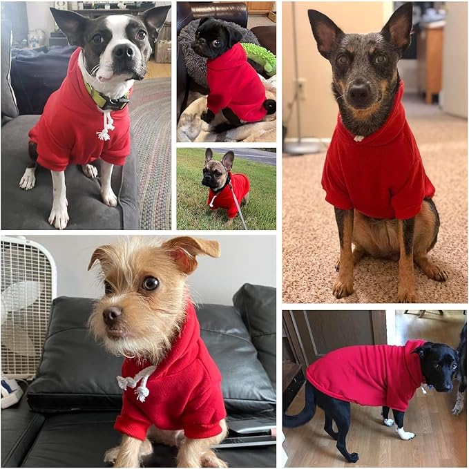 BINGPET Dog Hoodie, Fleece Lined Fall Cold Winter Soft Warm Puppy Sweatshirt with Leash Hole, Dog Sweaters Outfit,Pullover Hoodie for Small Medium Large Dogs Cats