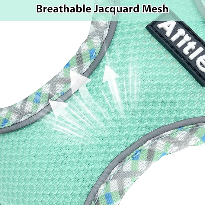 AIITLE XXS Dog Harness & Leash Set - Breathable Reflective No-Choke Small Dog Harness for Teacup Puppies, Indoor/Outdoor Use - Boston Terrier, Maltese, Chihuahua (Turquoise, XXS)