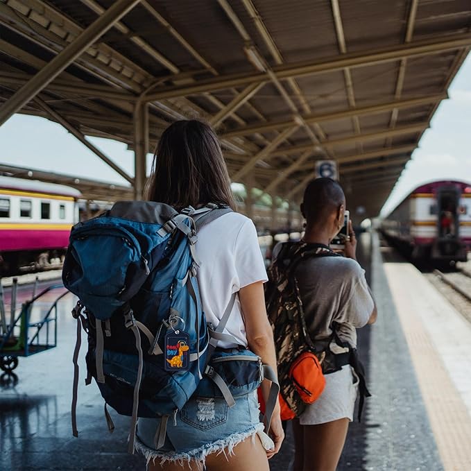 2 Pack Luggage Tags for Suitcase Cartoon Cool Dinosaur Leather Stainless Steel Loop Label Tags for Women Men Travel Bag Suitcase with Privacy Cover Name ID Card