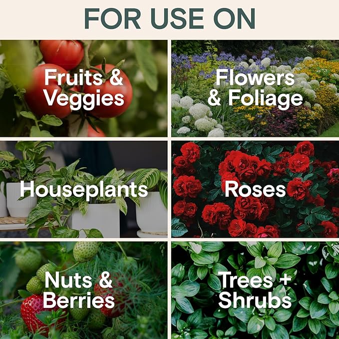 Organic Insecticide & Fungicide for Plants — Indoor/Outdoor Protection to Control Powdery Mildew, Spider Mites, Aphids, Whiteflies, Fungus Gnats — Safe on Vegetables & Lawns — Concentrate Spray, 16oz