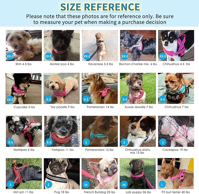SlowTon No Pull Small Dog Harness and Leash Set, Puppy Soft Vest Harness Neck & Chest Adjustable, Reflective Lightweight & Anti-Twist Pet Lead Combo for Small Medium Dogs (G- Front Clip,S)