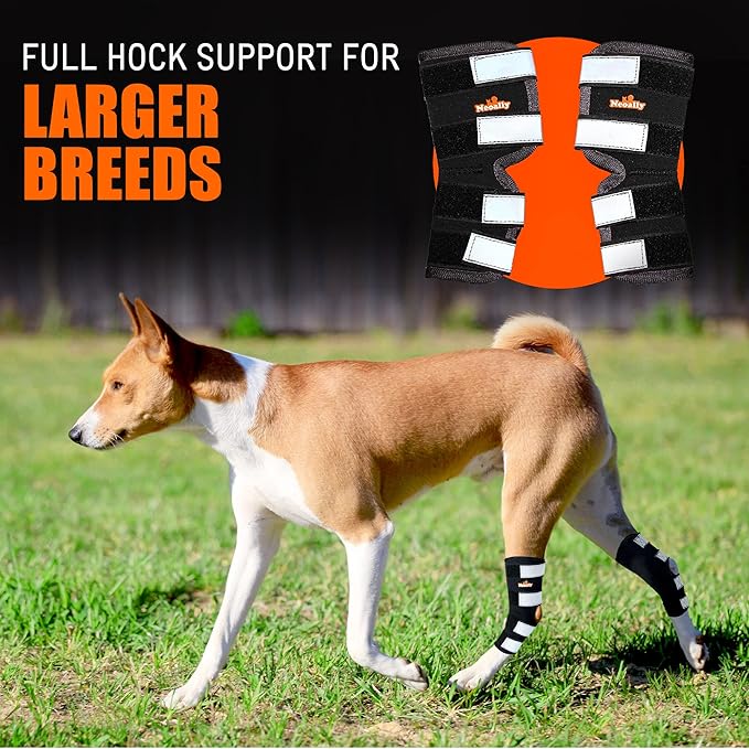 NeoAlly® - Rear Leg Hock Brace, Dog Leg Brace for Rear Leg, Hock & Ankle Support for Large Dogs, Dog Brace for Torn Acl and Ccl, Long Version, Extra Large, 1 Pair