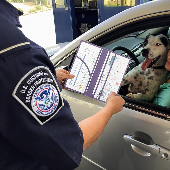 Premium Car Registration & Insurance Card Holder with Magnetic Shut, Vehicle Glove Box Car Organizer - For Documents, Cards, License (Purple)