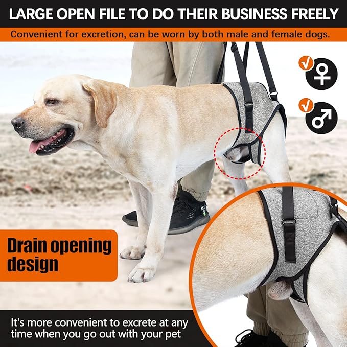 ROZKITCH Dog Lift Harness, Pet Rear Support Aid Veterinarian Approved Sling for Old K9 Help with Poor Stability, Back Leg Hip Disabled Joint Injury Elderly Arthritis ACL Rehabilitation Rehab Grey M