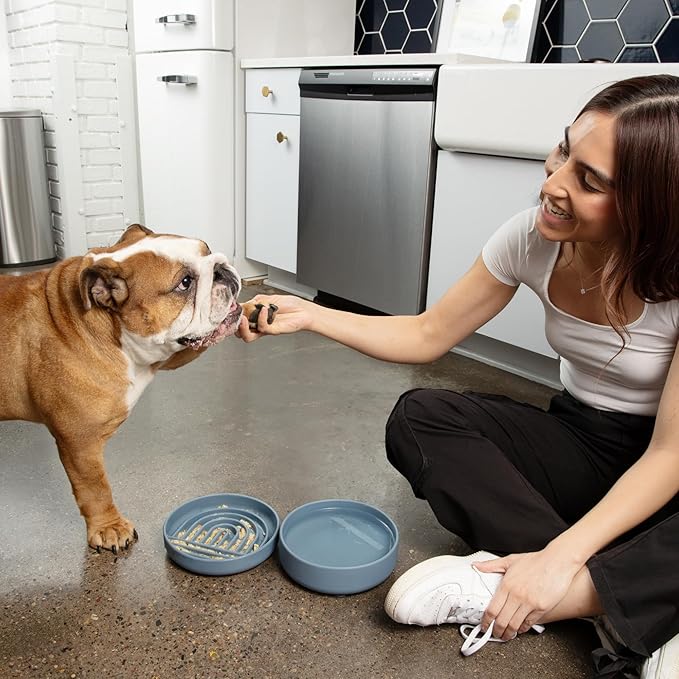Should We Go? The Perfect Dish No-Spill Dog Water Bowl, Less Mess Non-Tippable Water & Food Bowl, Pure Silicone with Suction Cup, Fits 5 Cups 7.5" Across x 2.25" Tall, Ideal for All Pets, Medium-Sand