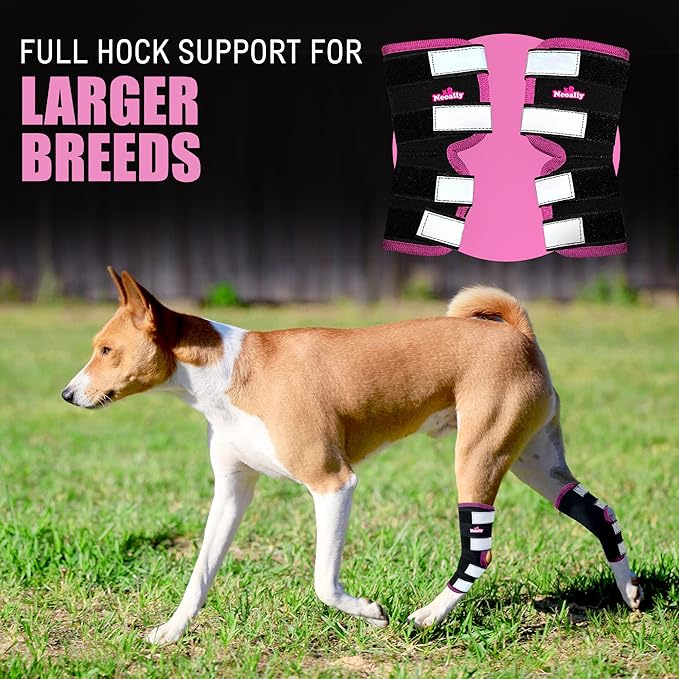 NeoAlly Dog Rear Leg Braces [Long Version] Canine Hind Hock Support with Safety Reflective Straps for Joint Injury, Sprain Protection, Wound Healing and Loss of Stability from Arthritis (Pink L Pair)