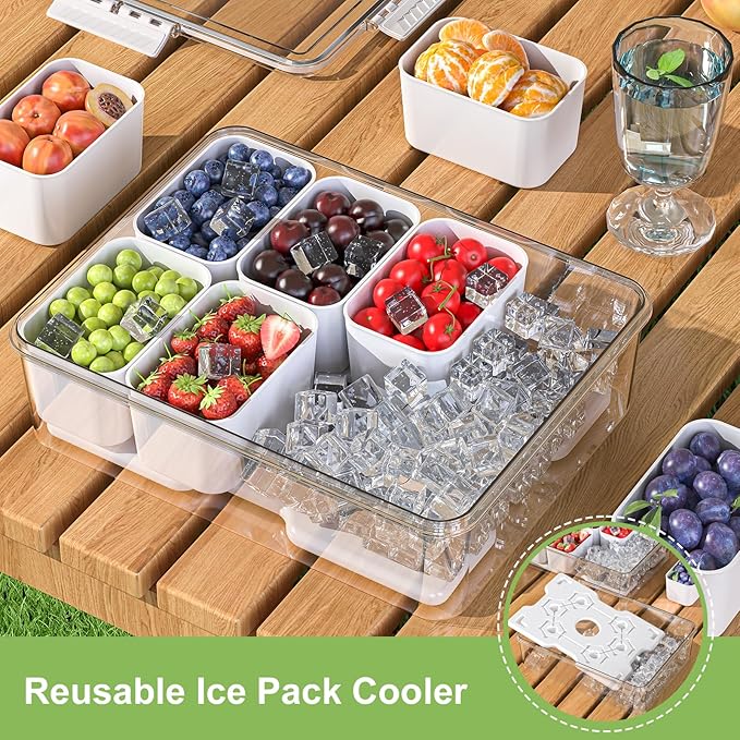 Snackle Box Container with Ice Pack, Bonus Insulated Bag Charcoolerie Chilled Portable Serving Tray with Lid and Handle，8 Compartment Snack Container for Charcuterie Snack Road Trip Picnic