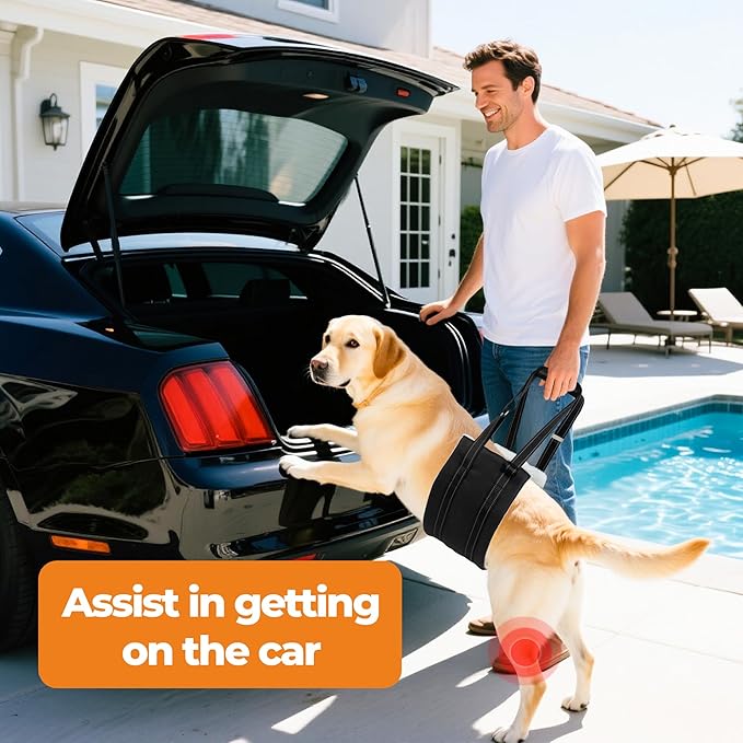 Dog Lift Harness, Adjustable Comfortable Dog Sling with Handle for Large Dog Knee Brace for Torn ACL Hind Leg, Weak Rear Legs, Helps Senior, Injured, Disabled,L