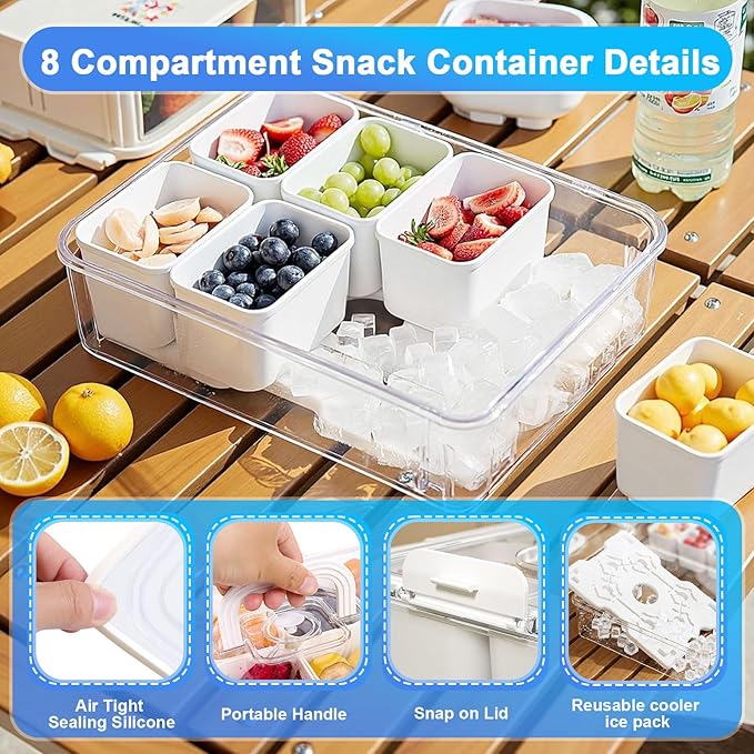 Portable Snackle Box Container with Resuable Ice Pack,Divided Serving Tray with Lid and Handle,8 Compartment Kids Lunch Box,Charcuterie Board Organizer for Travel Beach Road Trip Picnic