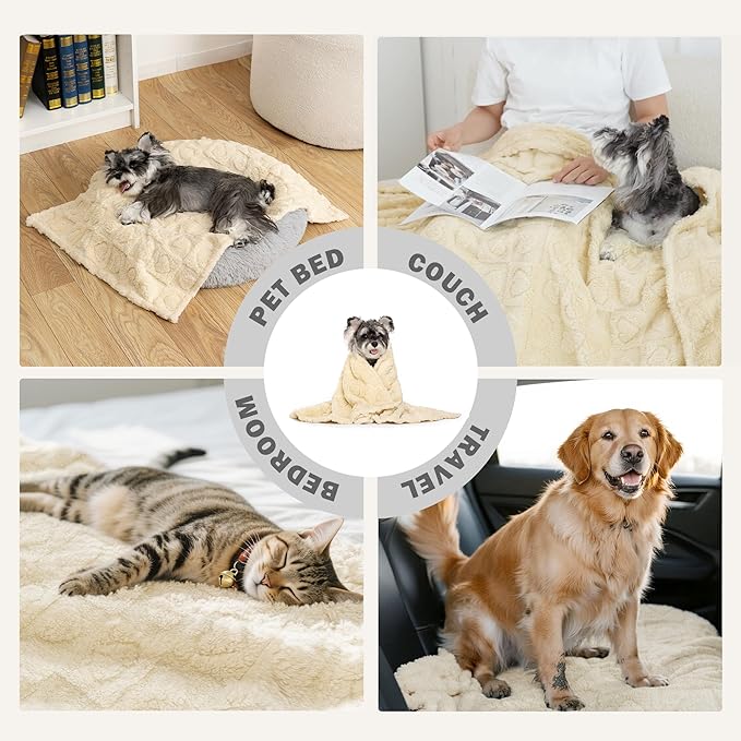 gogobunny Cozy Fleece Throw Blanket for Couch, 50x60 Inch Large Soft Blanket for Adults & Pets, 2-in-1 Machine Washable Lightweight Blanket for Bed, Travel, All Season Comfort (Beige, 50x60)