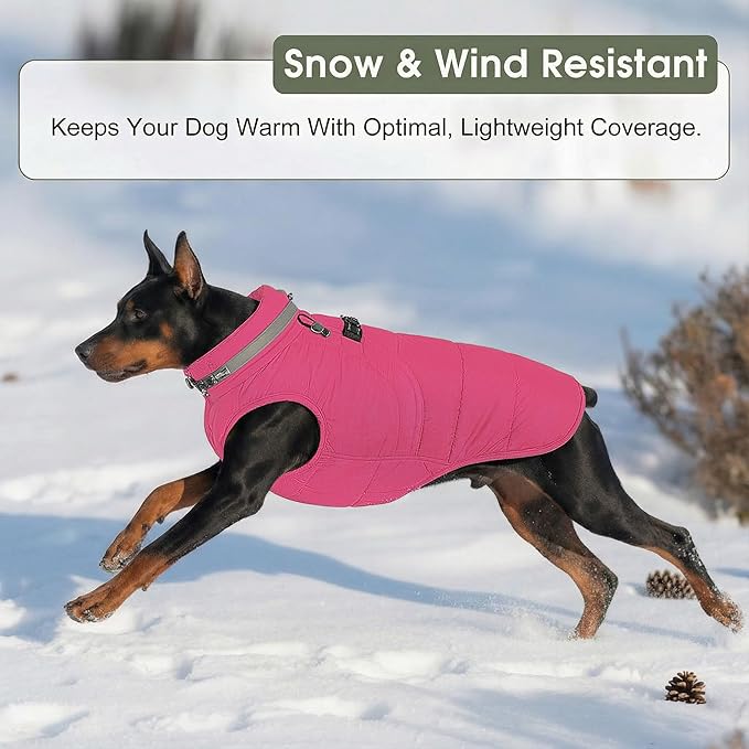 SAWMONG Dog Coat, Warm Dog Winter Coat, Waterproof Fleece Jacket, Cold Weather Dogs Jacket (L,Rosered)
