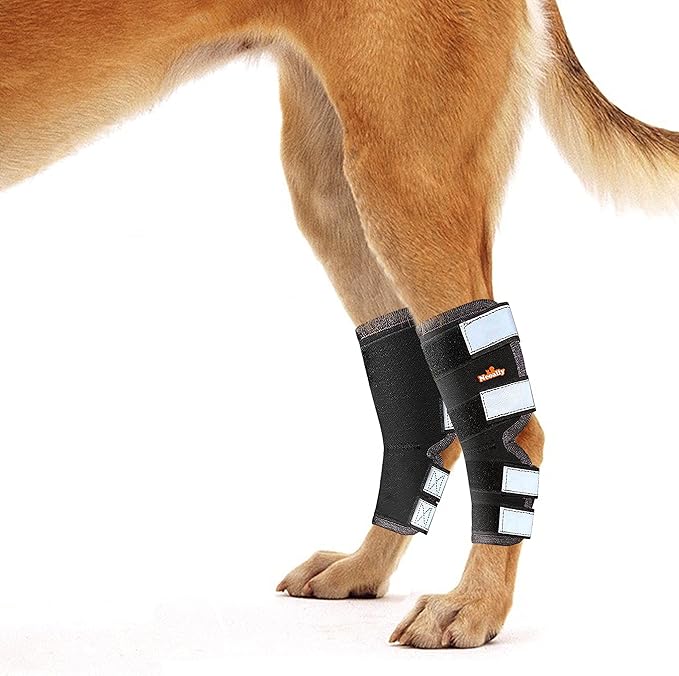 NeoAlly® - Rear Leg Hock Brace, Dog Leg Brace for Rear Leg, Hock & Ankle Support for Large Dogs, Dog Brace for Torn Acl and Ccl, Long Version, Extra Large, 1 Pair