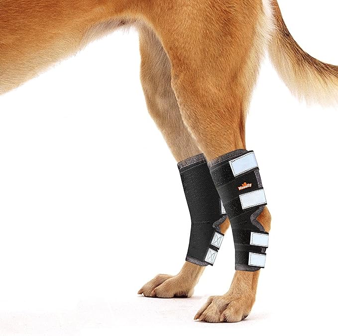 NeoAlly® - Rear Leg Hock Brace, Dog Leg Brace for Rear Leg, Hock & Ankle Support for Hind Legs, Dog Brace for Torn Acl and Ccl, Long Version, X-Small, 1 Pair