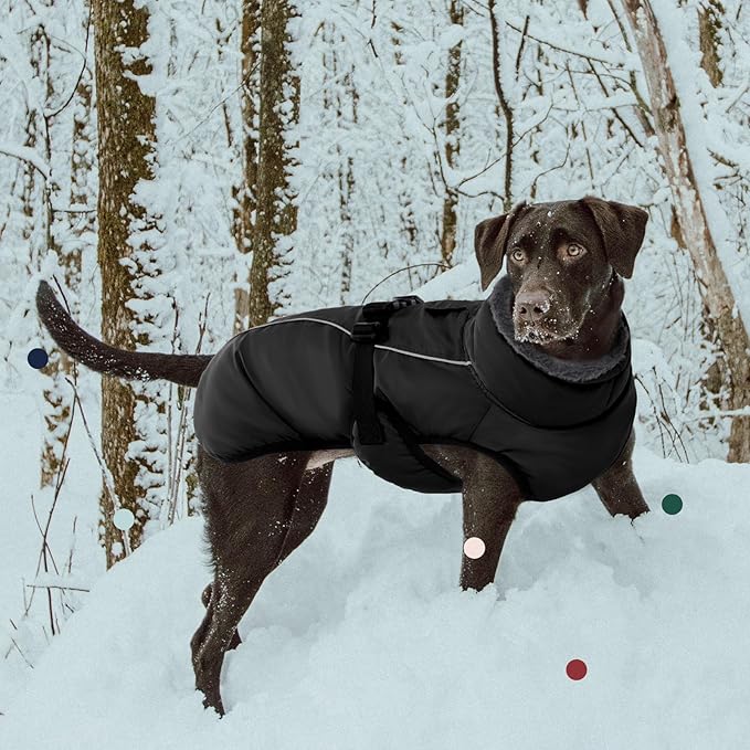 IECOii Extra Warm Dog Coat - Reflective, Adjustable Jacket with Buckle, Fleece Turtleneck for Cold Weather - Soft Winter Coat for Small, Medium, Extra Large Dogs