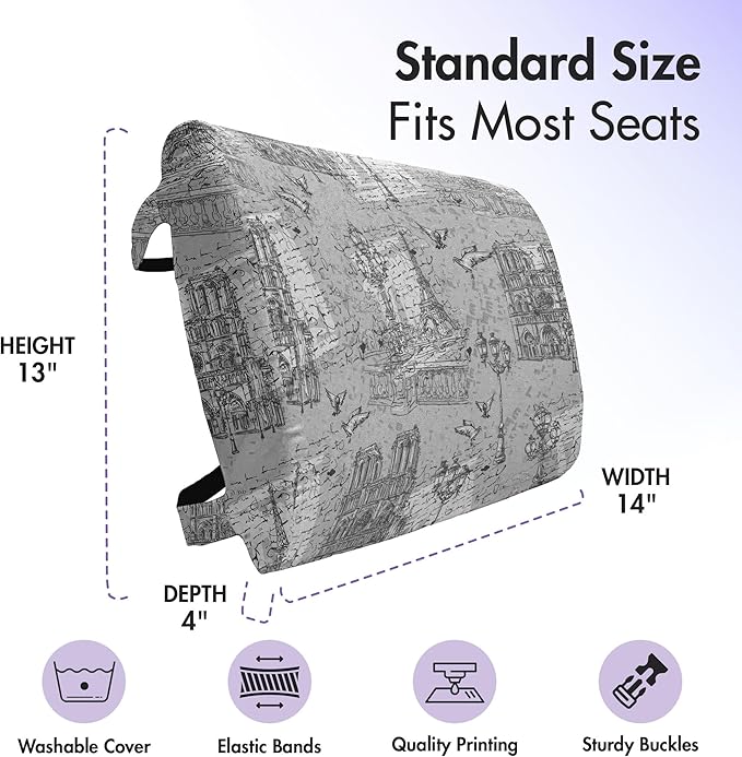Ambesonne Paris Lumbar Back Support Pillow, Vintage Monochrome Image Seine River Notre Dame Doves Scenes from Europe, High Density Foam for Office Chairs Car Seats, 14" x 13", Grey Black White