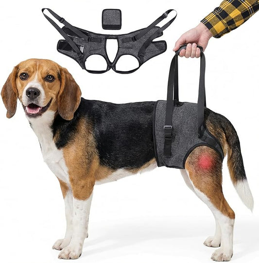 BARDIMIES Dog Lift Harness for Back Legs–Sturdy Dog Support Sling–Hip Sling Carrier for Large Medium Canine, Stair Helper for Aid Old Ligament Rehabilitation Pet, Grey,S