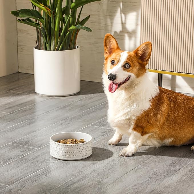 MALACASA Ceramic Dog Food Bowl, 3.5 Cups or 32oz Dog Food Water Dish for Mudium Breeds, Pet Bowl Dishwasher & Microwave Safe, Honeycomb, Series Lydia