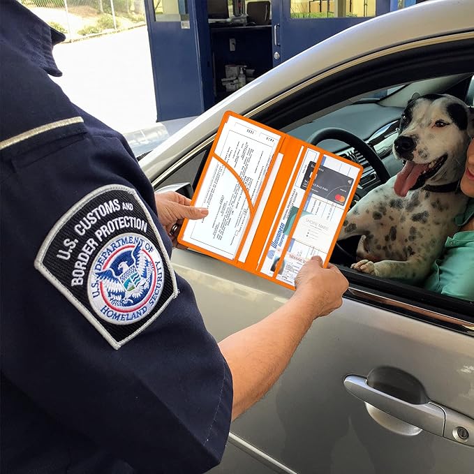 Premium Car Registration & Insurance Card Holder with Magnetic Shut, Vehicle Glove Box Car Organizer - For Documents, Cards, License (Orange)