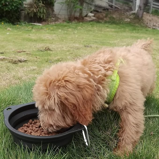 Collapsible Silicone Dog Bowl with Carabiner, 3 Sizes 5-27oz, Portable Pet Outdoor,Travel Bowl,(Black and Red)