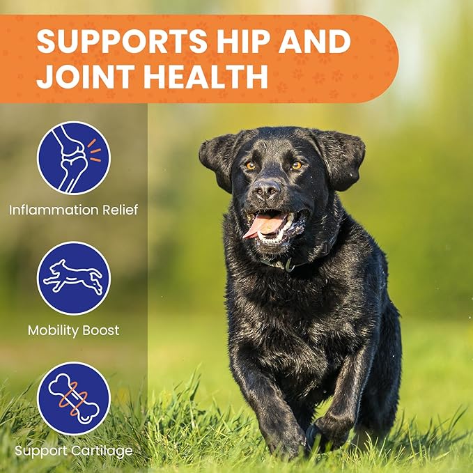 HOOLOO Calming Chews for Dog Anxiety Relief-Natural Puppy Calming Treats Help Manage Stress and Promote Relaxation,Made in USA-120 Chews