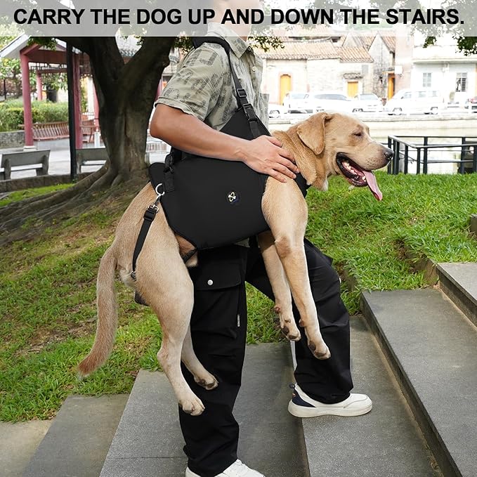 Coodeo Dog Lift Harness, Pet Support & Rehabilitation Sling Lift Adjustable Padded Breathable Straps for Old, Disabled, Joint Injuries, Arthritis, Loss of Stability Dogs Walk (Black, S)