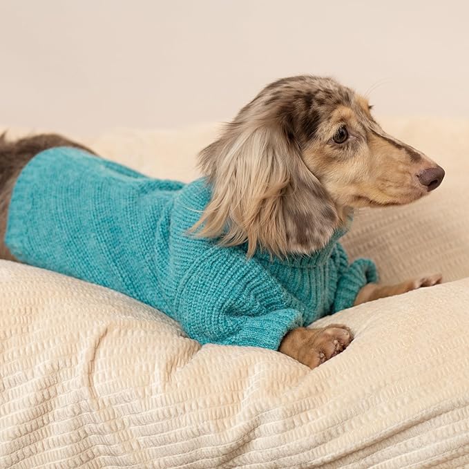 Fitwarm Turtleneck Dog Sweater, Thermal Winter Clothes for Small Dogs, Boy Girl, Sweater, Jumper, Teal Blue, XL