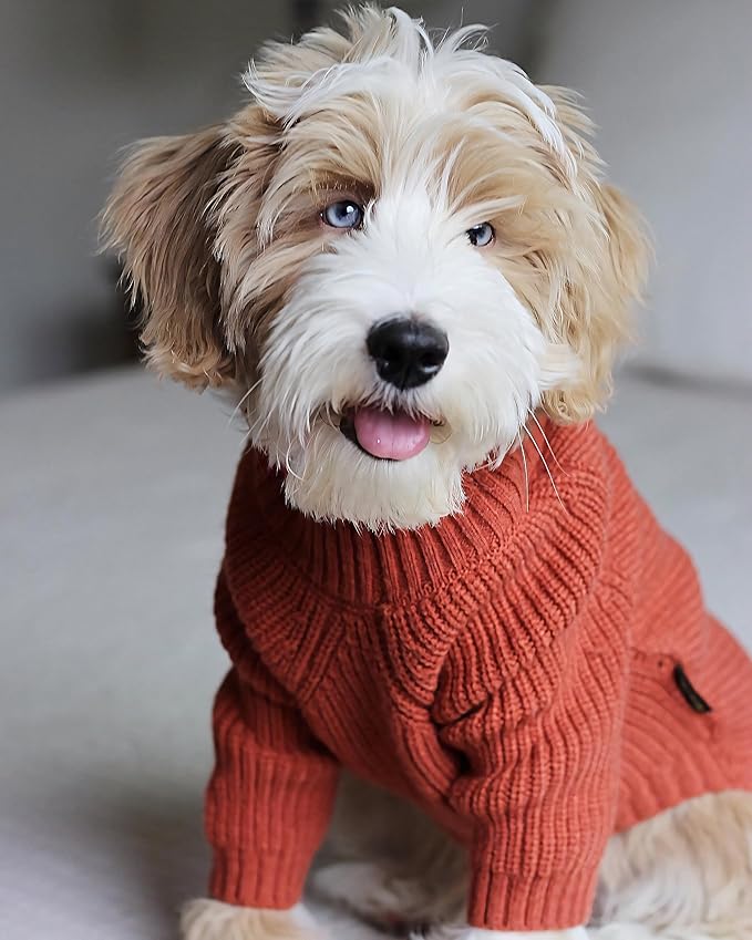 Fitwarm Thermal Knitted Dog Sweater Doggy Winter Coat Pet Clothes Doggie Turtleneck Jacket Puppy Outfits Cat Sweatsuit Red Medium