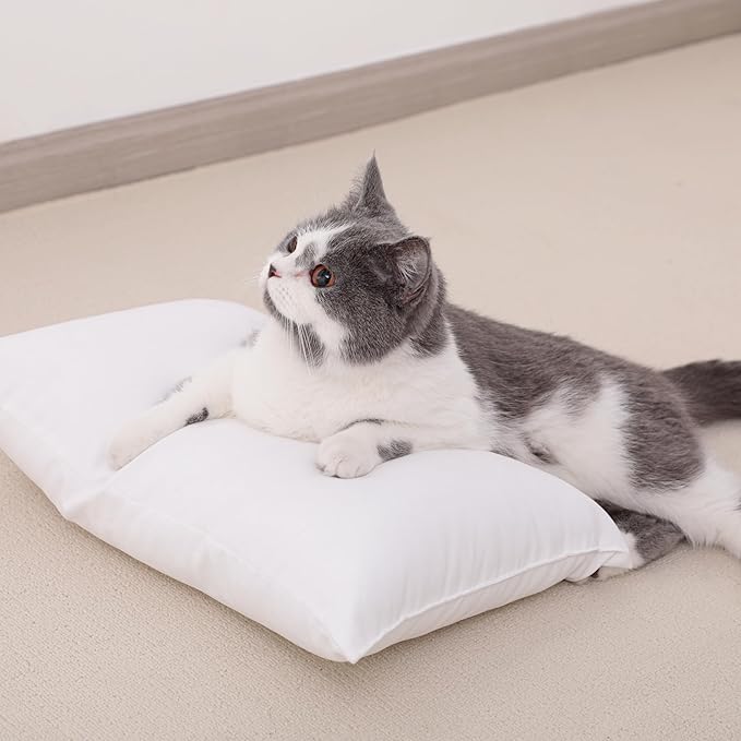 NTBAY Toddler Pillows, Down Alternative 13"x18" Pillow, Machine Washable - Soft and Breathable Travel Small Pillows for Sleeping, Ideal for Daycare, Crib, Cot, Black