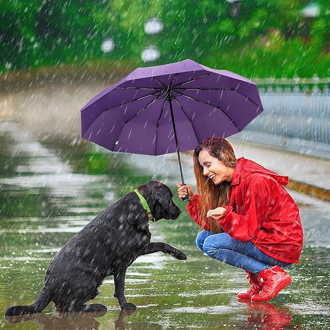 ZOMAKE Travel Umbrella Compact - 10 Ribs Portable Collapsible Umbrellas for Rain Windproof - Paraguas Automatic Small Folding Umbrella Lightweight Packable Umbrella for Women Men