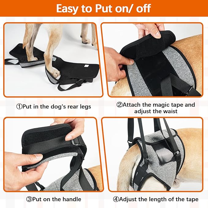 ROZKITCH Dog Lift Harness, Pet Rear Support Aid Veterinarian Approved Sling for Old K9 Help with Poor Stability, Back Leg Hip Disabled Joint Injury Elderly Arthritis ACL Rehabilitation Rehab Grey M