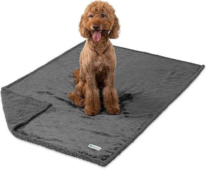 PetAmi Waterproof Dog Blanket for Medium Large XL Dog Puppy Cat Throw for Couch Cover Leakproof Protection, Sherpa Fleece, Reversible Soft Washable 80x60 Gray Gray