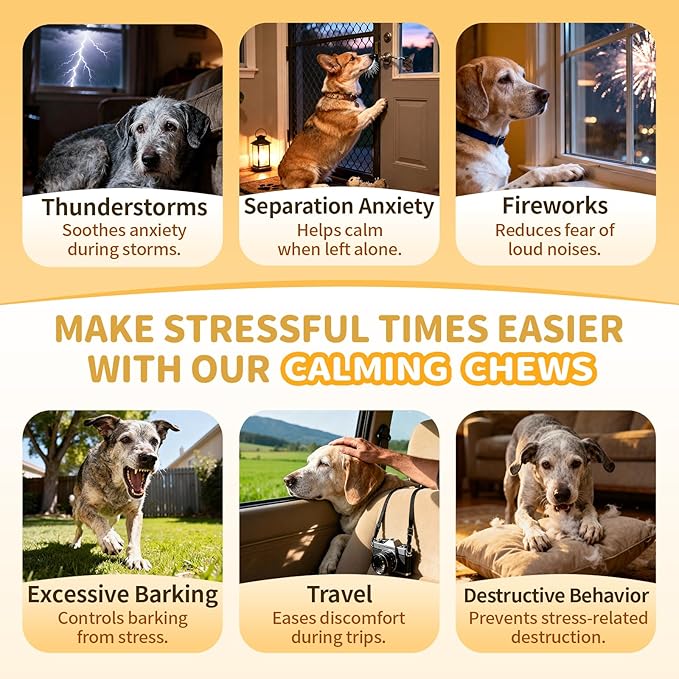 Advanced Calming Chews for Dogs-Brain & Composure Support with 7 Mushrooms, Ashwagandha, Omega-3 DHA & EPA, Anxiety Relief Dog Calming Treat, ll Breeds & Sizes Puppy, Salmon Flavor, 135Ct