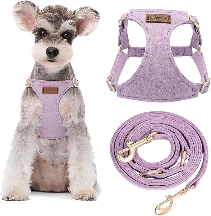 Puppytie No Pull Small Dog Harness with Multifunction Dog Leash,Lightweight Soft Adjustable No Choke Escape Proof Pet Harness Vest Pet Harness Vest,Light Purple,S