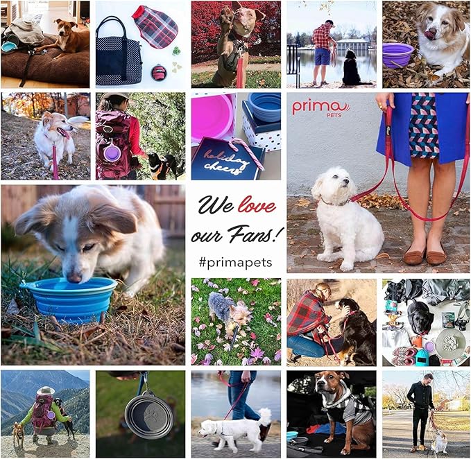 Prima Pet Collapsible Silicone Food and Water Travel Bowl with Clip for Dog and Cat, Small (1.5 Cups)