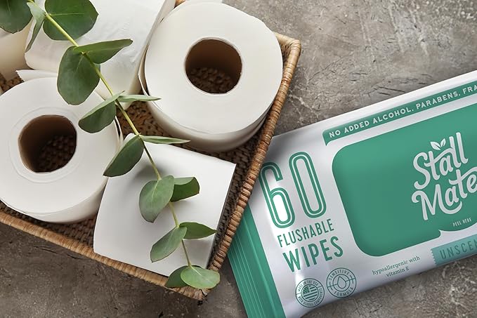 Stall Mates Wipes: Flushable Wipes | 60-Wipe Home Pack | Hypoallergenic | Unscented with Vitamin-E & Aloe | (4 Pack - 240 Total)